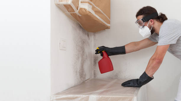 Professional Bathroom Mold Removal technician working in Shamokin, PA