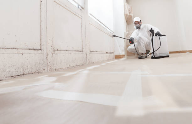 24/7 Emergency Bathroom Mold Removal experts in Shamokin, PA
