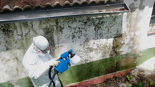 Trusted Mold Testing service in Shamokin, PA - Cheap Mold Removal